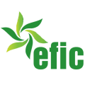 Logótipo Eficduarte Unipessoal Lda